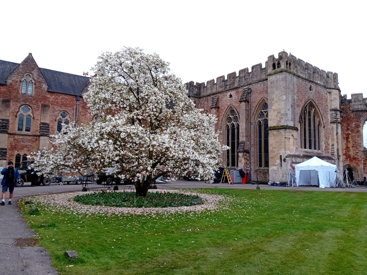 SanjeePerera1's tweet image. Wolf Hall is filming at the @BathWells Palace this week. Hate the clutter that is obscuring lovely palace pictures. But can't wait to see the new #WolfHall season.