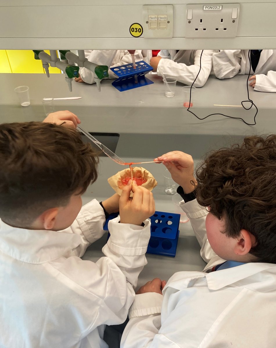 KennetSchool's tweet photo. Year 7 went on an aspirational Aim Higher trip to @UniofReading yesterday. They toured the campus, debated ethical philosophy and separated DNA in the lab. The group were excited about future study opportunities and doors that can open as a result of #ExcellenceThroughEndeavour. https://t.co/B6REwKPDG7