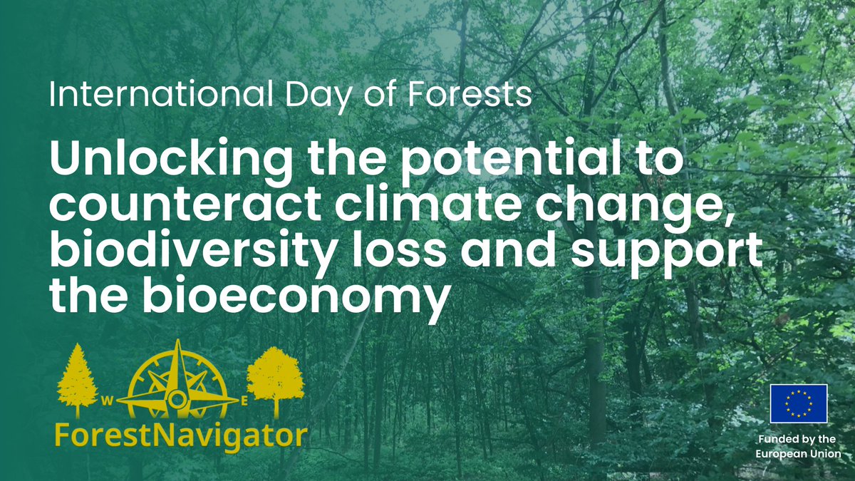 Today is #ForestDay! 44% of EU is covered with #forests, absorbing nearly 10% of the EU greenhouse gas emissions annually. ForestNavigator assesses forest´s climate mitigation potential to develop robust policy pathways for 2030 and 2050 climate goals 👉forestnavigator.eu
