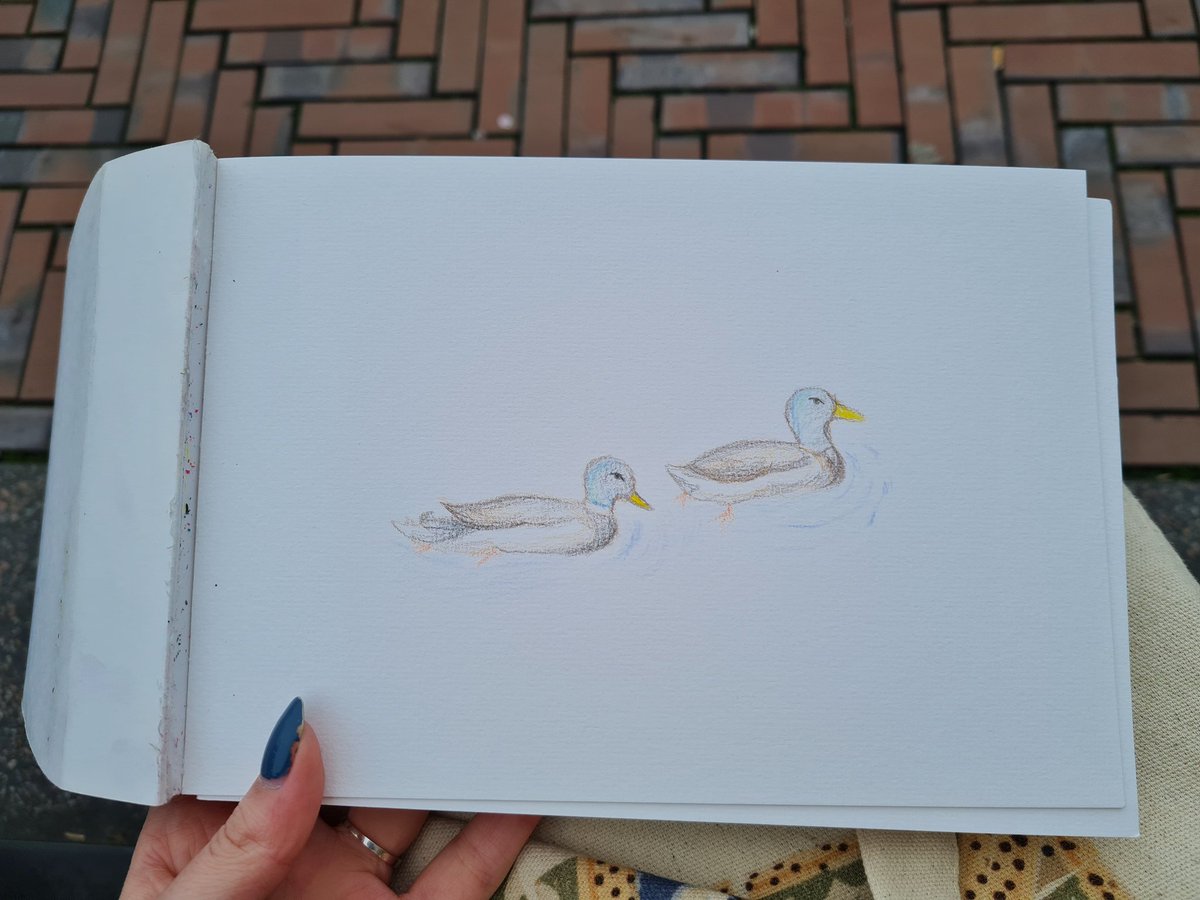 sketching ducks 🦆