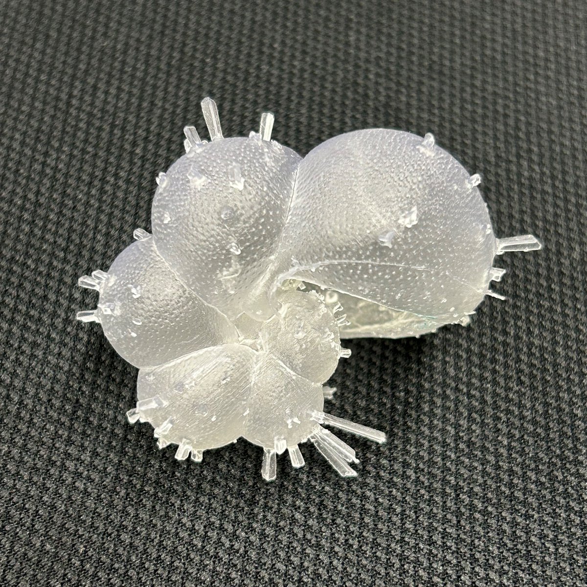 chiba_chuohaku's tweet photo. 【精細な #有孔虫 の #3D 模型】
先日 #地質 調査から帰ってきたK研究員はその後すぐさま学会に旅立ちましたが、そこで驚きのものに遭遇しました。なんと現生有孔虫46種3D模型の詰め合わせ! #RCGEAR の横山さん(@hayato_rc )製作です!素晴らしいです!
#千葉県立中央博物館 https://t.co/1069iBsftt