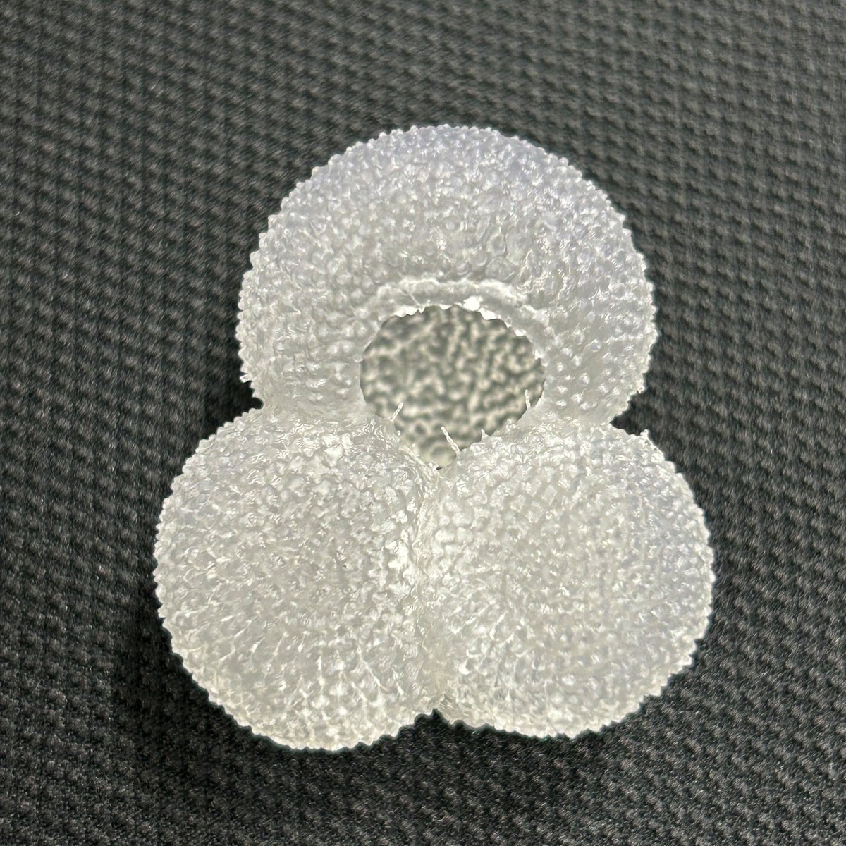 chiba_chuohaku's tweet photo. 【精細な #有孔虫 の #3D 模型】
先日 #地質 調査から帰ってきたK研究員はその後すぐさま学会に旅立ちましたが、そこで驚きのものに遭遇しました。なんと現生有孔虫46種3D模型の詰め合わせ! #RCGEAR の横山さん(@hayato_rc )製作です!素晴らしいです!
#千葉県立中央博物館 https://t.co/1069iBsftt