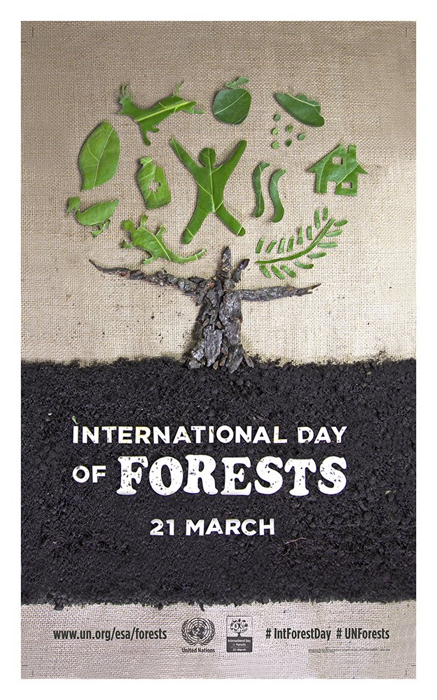 🌲 Almost 75% of the world’s accessible freshwater comes from forests. 🌴 Nearly 1/3 of the global population depends on forest goods for livelihoods and nutrition. 🌳 Our future depends on preserving our forests. @FAOIndia @UNEP_AsiaPac @moefcc #ForestDay #IntlForestDay