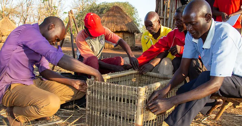 #IntlForestDay

Explore our bamboo value chain work under the EU-funded Z4ABC project in Zambia's Eastern Province. We support biodiversity &amp; farmers' livelihoods thru' sustainable management &amp; market development for Savanna Bamboo products.

Learn more:🔗cifor-icraf.org/z4abc/