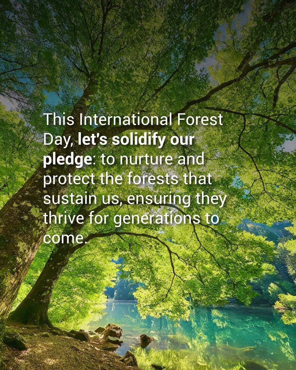 🌳 On International Day of Forest, we're urged to hasten our efforts to protect forests, which are crucial for carbon capture. Let's elevate NBS integrity and empower communities for a greener future. #InternationalDayOfForest #ClimateAction
