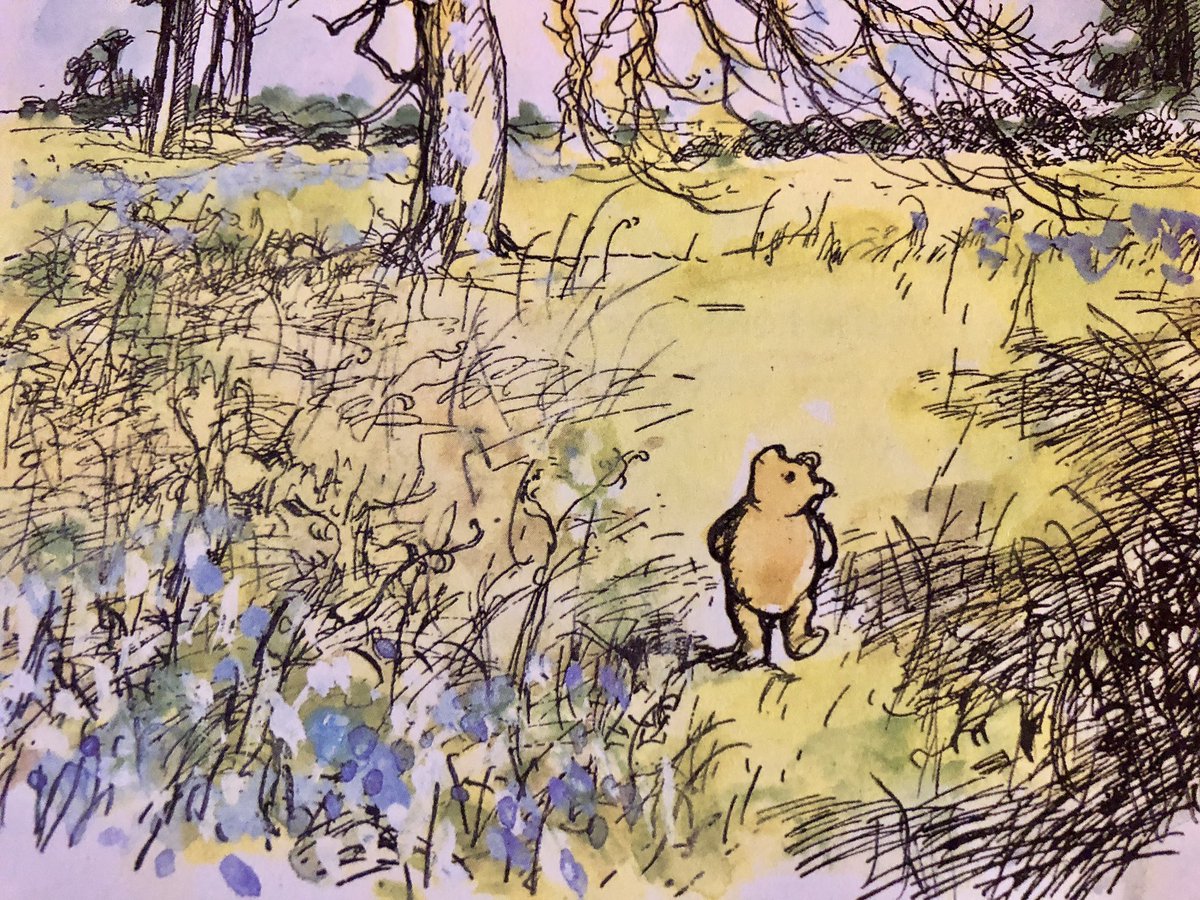 The sun shone bravely; and a copse which had worn its firs all the year round seemed old and dowdy now beside the new green lace which the beeches had put on so prettily. Through copse and spinney marched Bear; over rocky beds of streams. ~A.A.Milne #Spring