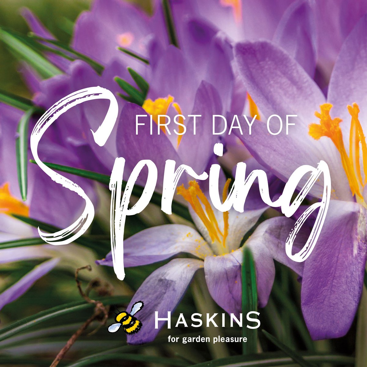 Welcome to the first official day of Spring! 👍🌷☀️

Be sure to let us see your photos of spring in the comments section below ⬇️ ⬇️ ⬇️

#Haskins #FirstDayOfSpring