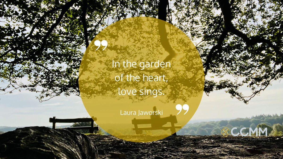 BFC Compassionate Care & Mindful Medicine tweet media