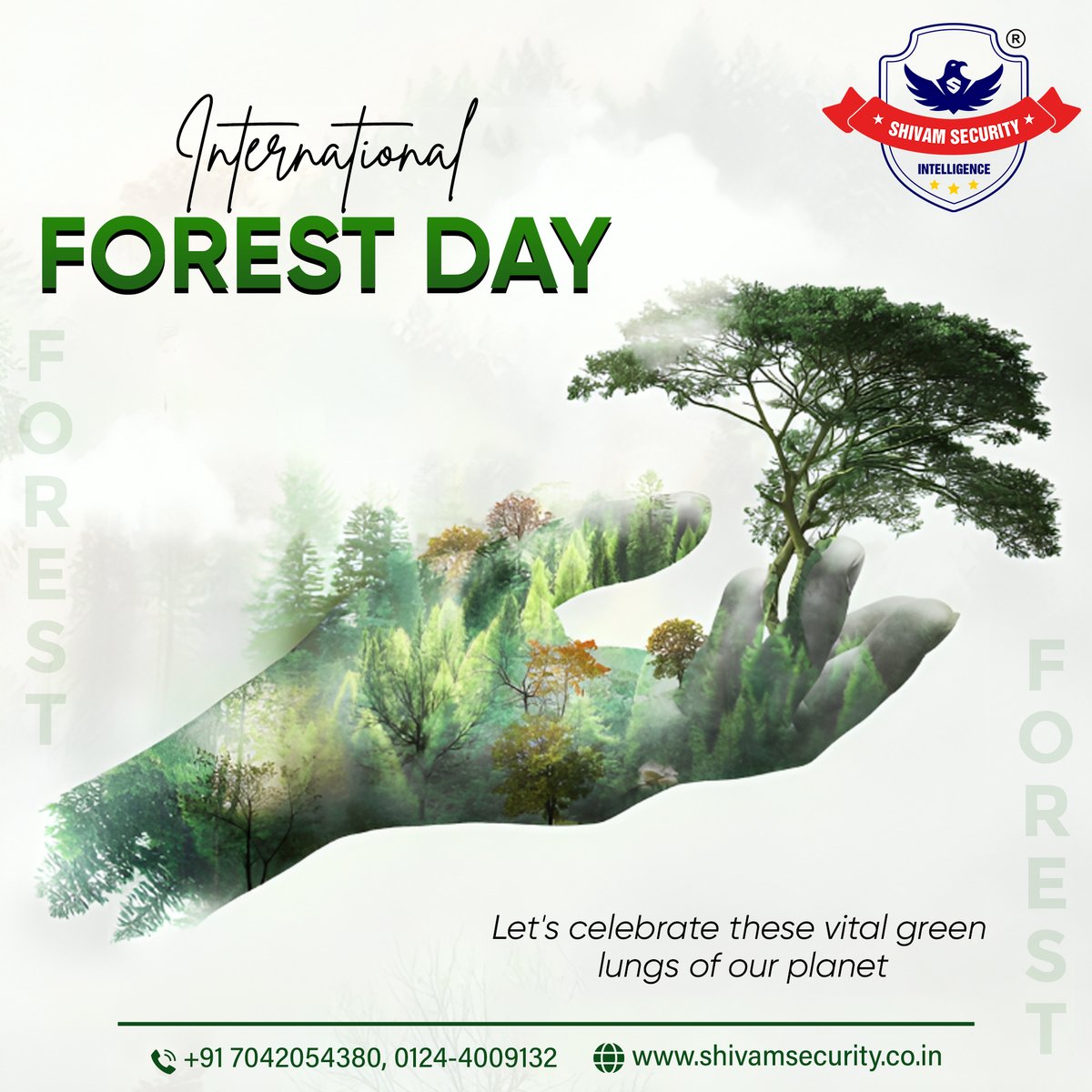 Happy International Forest Day!
Let's celebrate these vital green lungs of our planet.

Visit - lnkd.in/d_UmYvZu

#InternationalDayofForests #ShivamSecurity #ForestSecurity #internationalforestday #saveforest #BestsecurityServicesinGurgaon