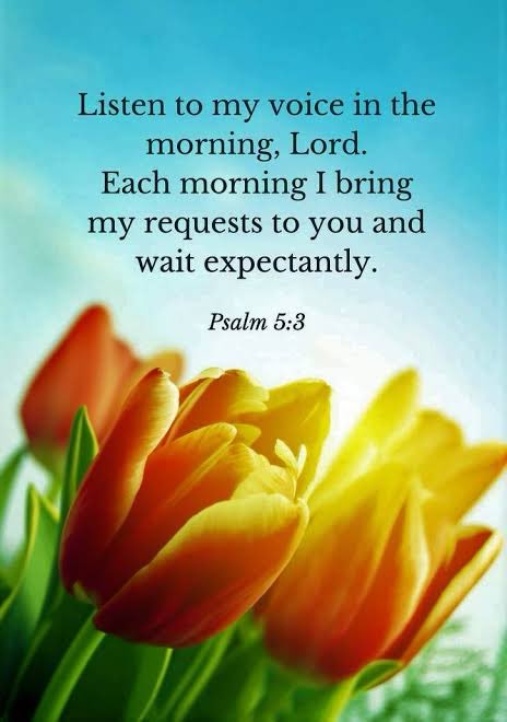 For His blessings are new every morning✨