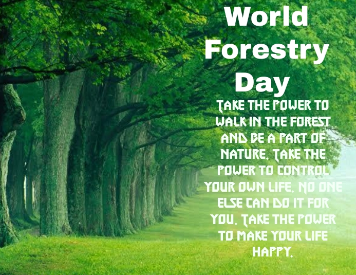 Happy #InternationalForestsDay! 

Let's celebrate the beauty and importance of our forests, vital ecosystems that provide us with clean air, biodiversity, and countless other benefits. 

Together, let's protect and preserve these natural treasures for generations to come. 🌳