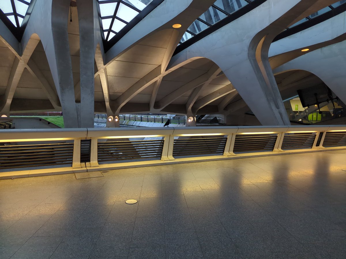 Conscrit_Neuneu's tweet photo. Étonnamment enchanté par la gare de St Exupéry TGV au petit matin. https://t.co/ClJptXBxkA