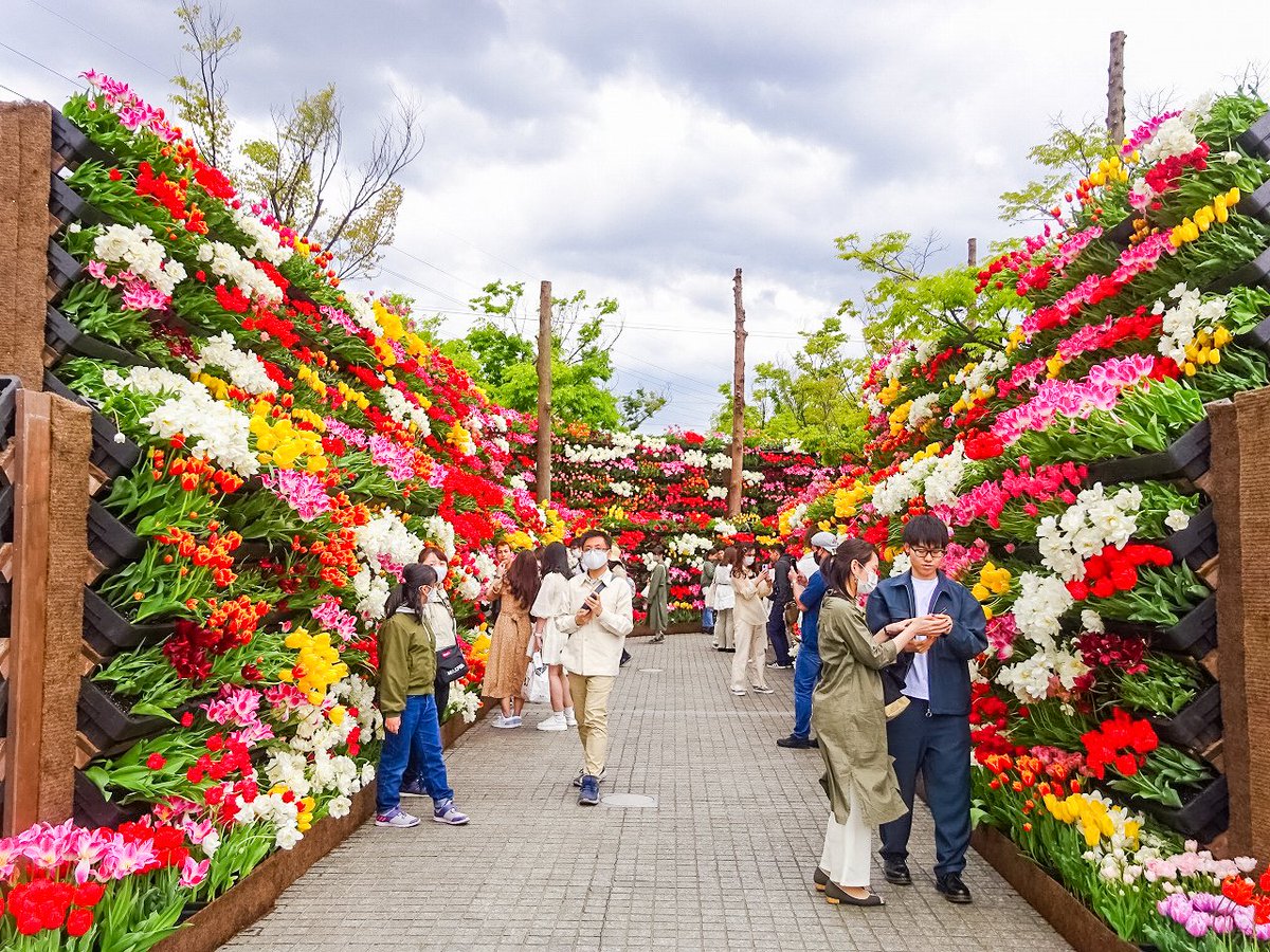 Visit Toyama tweet media