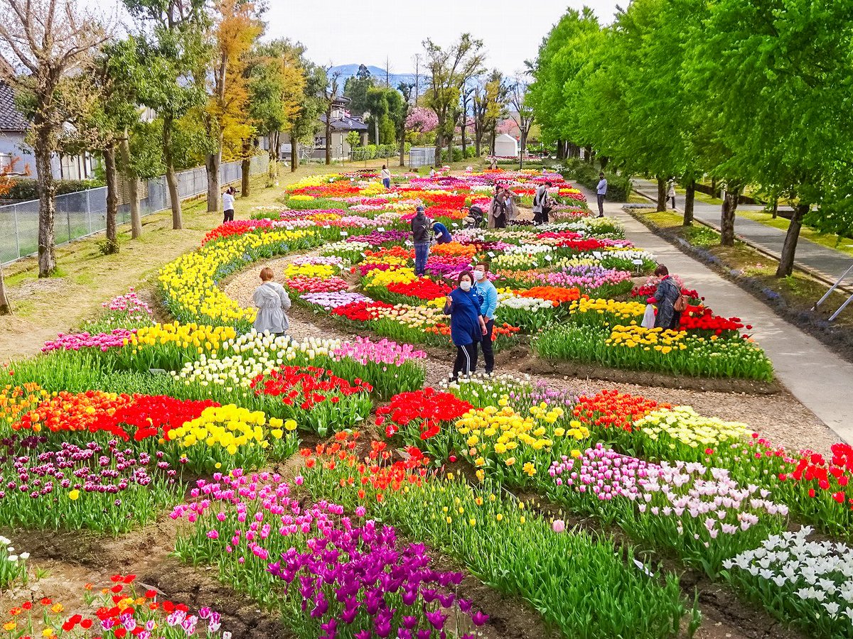 Visit Toyama tweet media