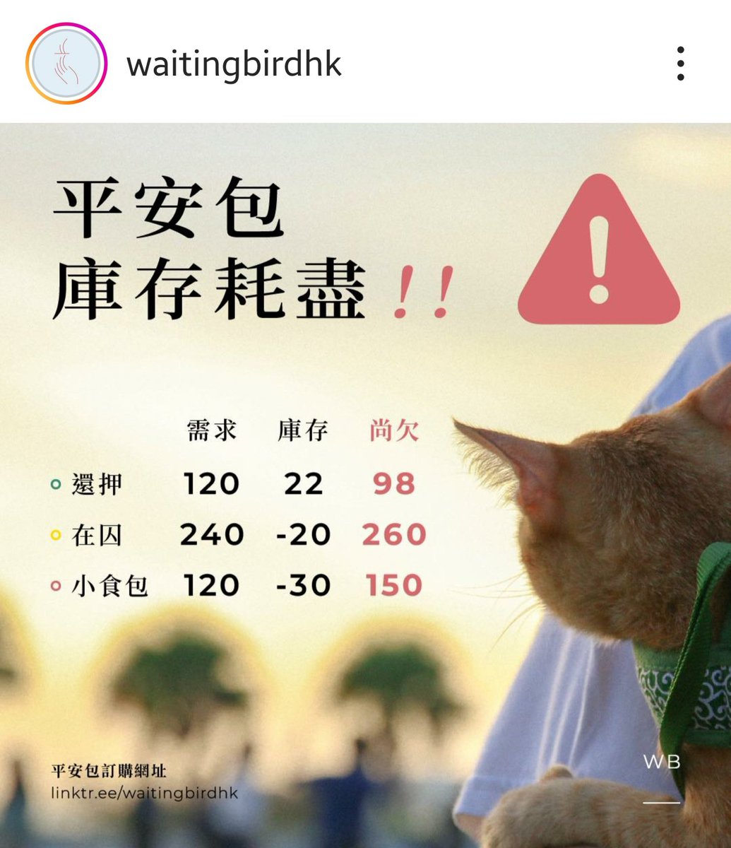 lvcatablecc's tweet photo. “候鳥” 照常營業，一齊撐住！

庫存耗盡，請支持：
https://t.co/QV8pknQGLn https://t.co/0CxnwY9Alg