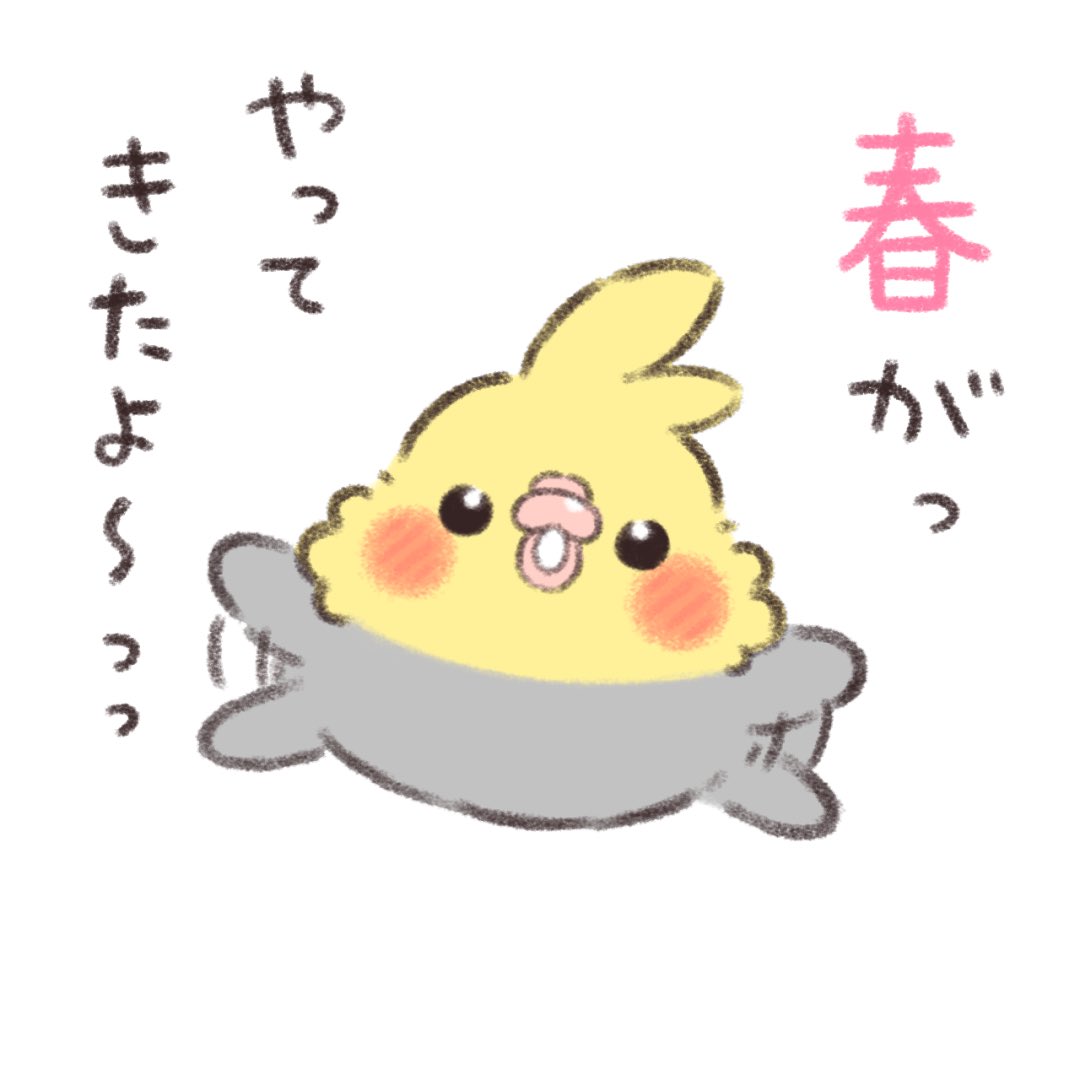 春がやってきたよ〜っ☘️

#かいぬちダイトゥキ
#オカメインコ 