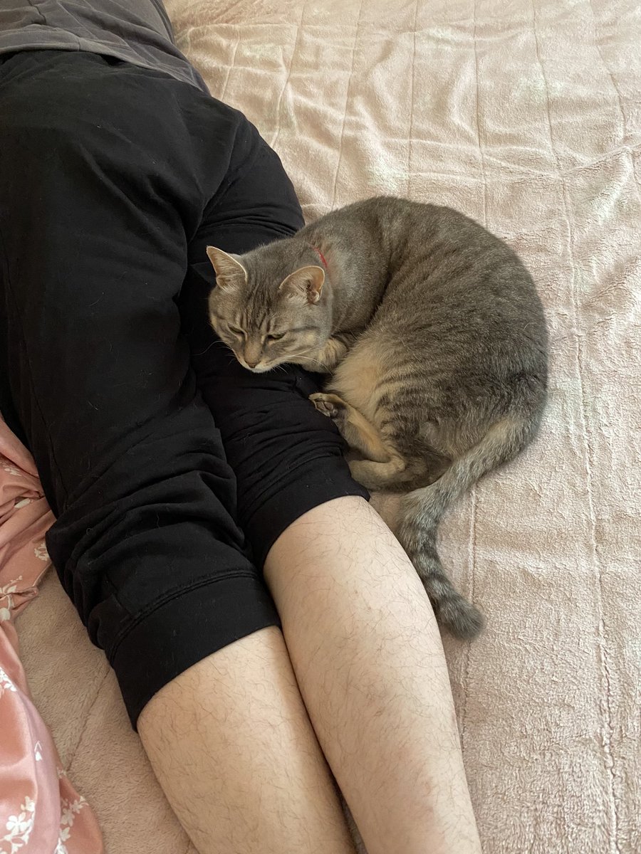 パパの足をコッソリ枕にして寝てる🤭
でもパパは寝相がすっごく悪いから気をつけて！