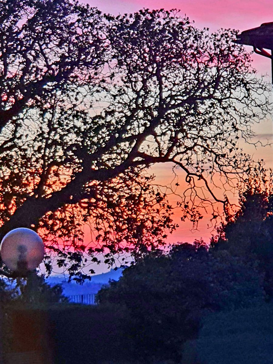 Il colore più bello in natura
#LoTrovi in due occhi limpidi,
il colore bellissimo
di due occhi chiusi 
che guardano te

📸- mai, Chiantishire