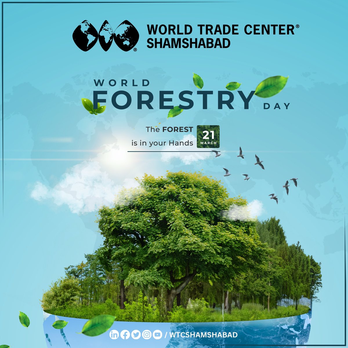 𝗗𝗶𝗱 𝗬𝗼𝘂 𝗞𝗻𝗼𝘄

India has a total forest and tree cover of about 80.9 million hectares which is 24.62% of the country's geographical area.

#forest #forests #India #ForestCover #Trees #Nature #Environment #Biodiversity #Sustainability #GreenIndia #ClimateChange