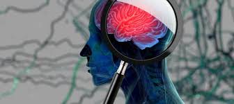 maximizegn1's tweet photo. Dive into the #Alzheimer #Disease #Diagnostic #Market! Explore the latest #breakthroughs, diagnostic tools, and #advancements in tackling this #pressing #healthcare #challenge. 

Get More Info:https://t.co/NZy39sPvt6

#AlzheimersDisease #DiagnosticMarket #HealthcareInnovation https://t.co/Qcge4dRhDj
