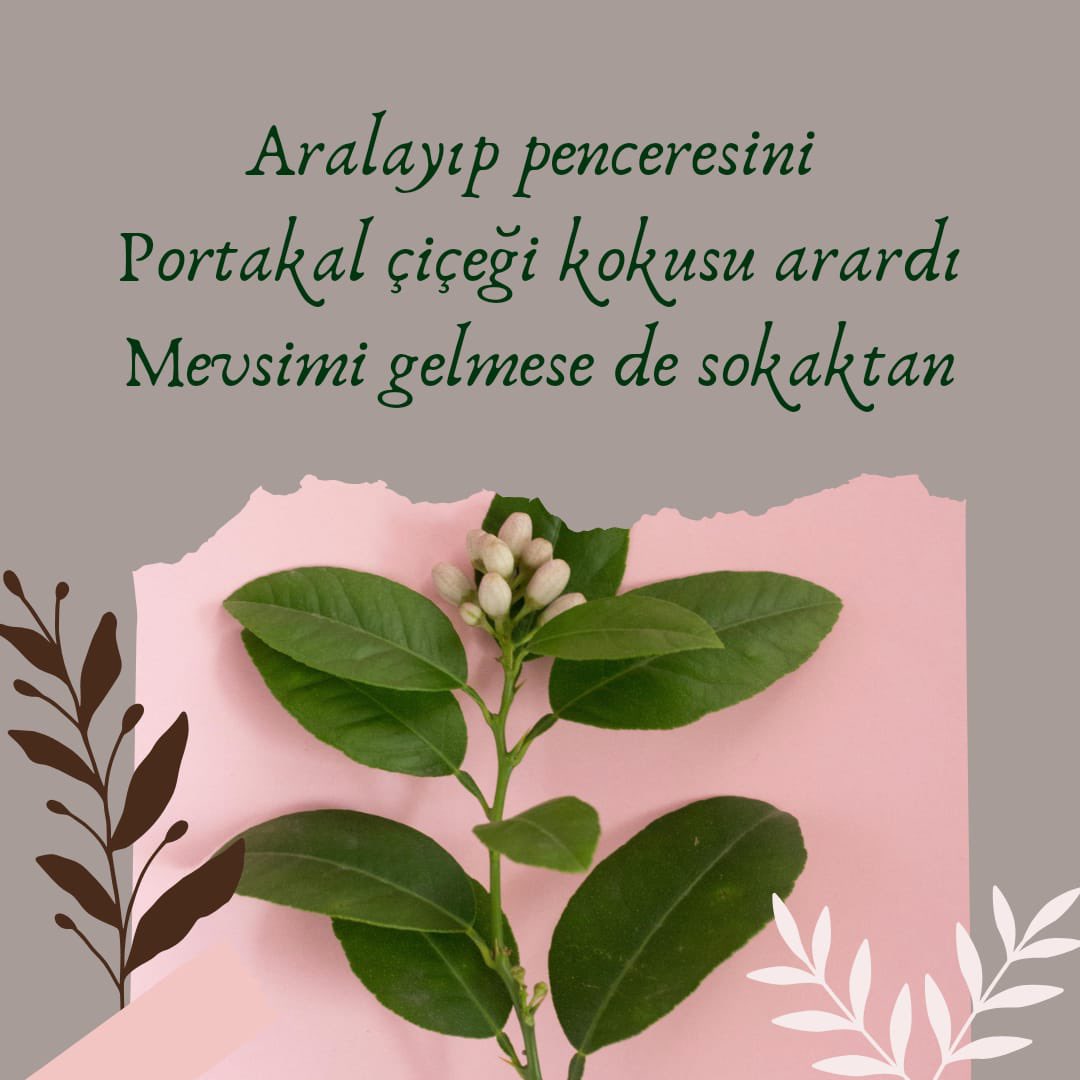 Lapsus Dergi (@lapsusdergi) on Twitter photo “Her sabah aynı saatte uyanır
Mutfağında eksilmeyen kahvaltısıyla
Bir kız bir oğlan beklerdi Suzan”
Şüheda Akış
•Biri Kız Biri Oğlan•
lapsusdergi.com/2024/03/01/bir…
#6şubat #deprem #şiir #hatay #maraş #anne  #edebiyat #adıyaman #depremzede #hayat #mart #Lapsus #Lapsusheryerde “Her sabah aynı saatte uyanır
Mutfağında eksilmeyen kahvaltısıyla
Bir kız bir oğlan beklerdi Suzan”
Şüheda Akış
•Biri Kız Biri Oğlan•
lapsusdergi.com/2024/03/01/bir…
#6şubat #deprem #şiir #hatay #maraş #anne  #edebiyat #adıyaman #depremzede #hayat #mart #Lapsus #Lapsusheryerde