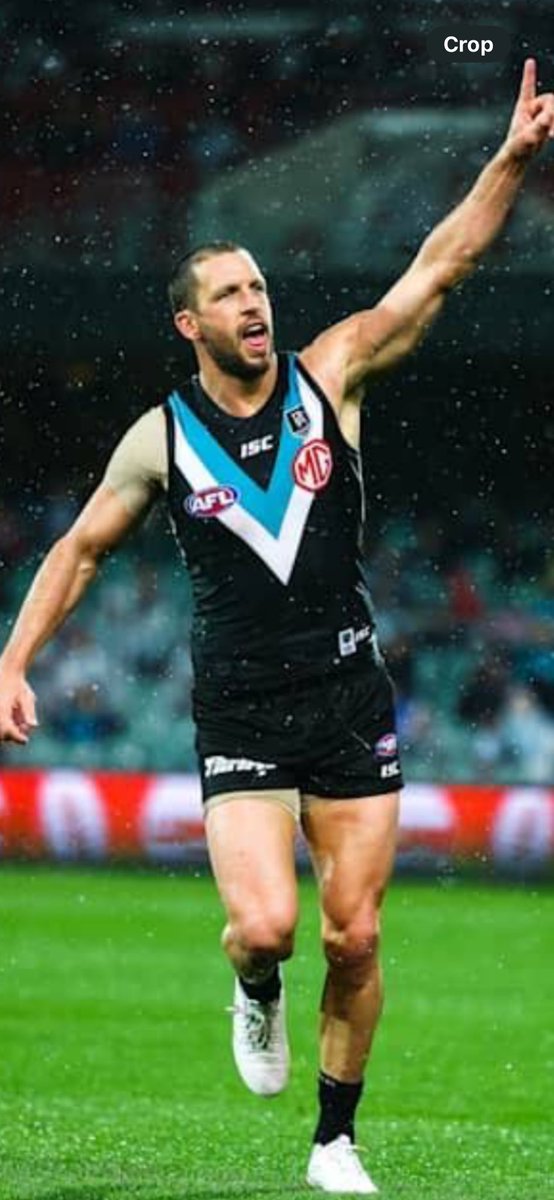 lambose4's tweet photo. Congratulations to this jet @travisboak10 on his 350th for @PortAdelaideFC Never met him but the way he plays & how his teammates revere him tells me all I need to know. #Star #AllClass #350Club https://t.co/YEYIF51NWA