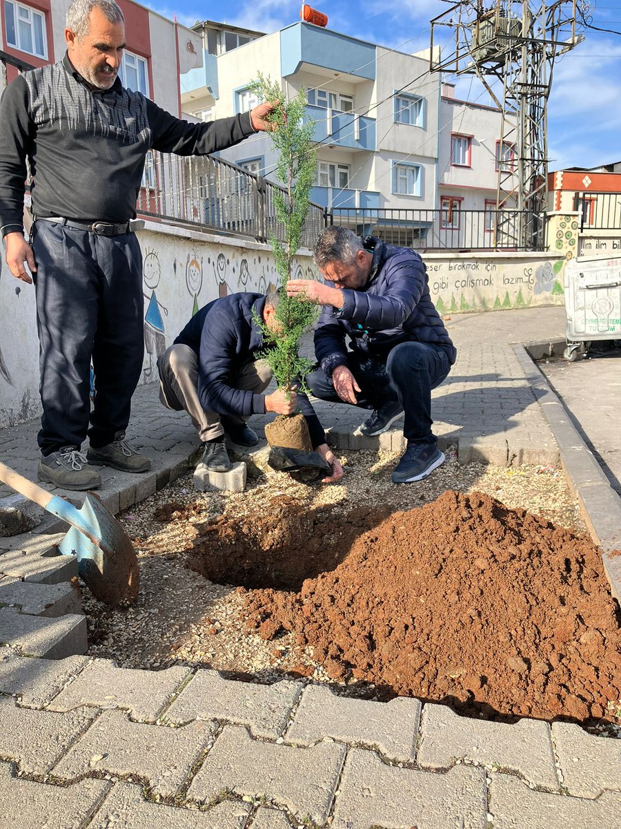 KaracaoglanO's tweet photo. Fidanlarımız bahçemize okul müdürümüz tarafından dikildi 🌳🌴🌱 https://t.co/fsdltkrUXi