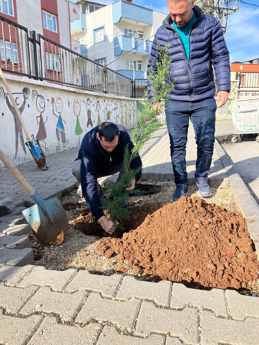 KaracaoglanO's tweet photo. Fidanlarımız bahçemize okul müdürümüz tarafından dikildi 🌳🌴🌱 https://t.co/fsdltkrUXi