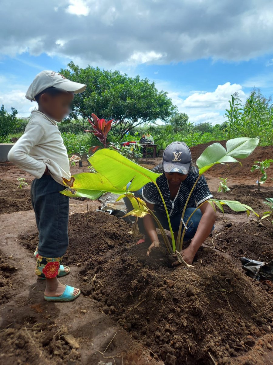 Protéger les écosystèmes et créer des puits de carbone grâce au reboisement : Retour en image sur nos derniers projets ! 🌳
À l’occasion de la #JIF, jetez un œil sur nos campagnes de reboisement 2023-2024 à Madagascar 👀

➕ linkedin.com/posts/ergosant…

#ForestDay #reboisement #RSE