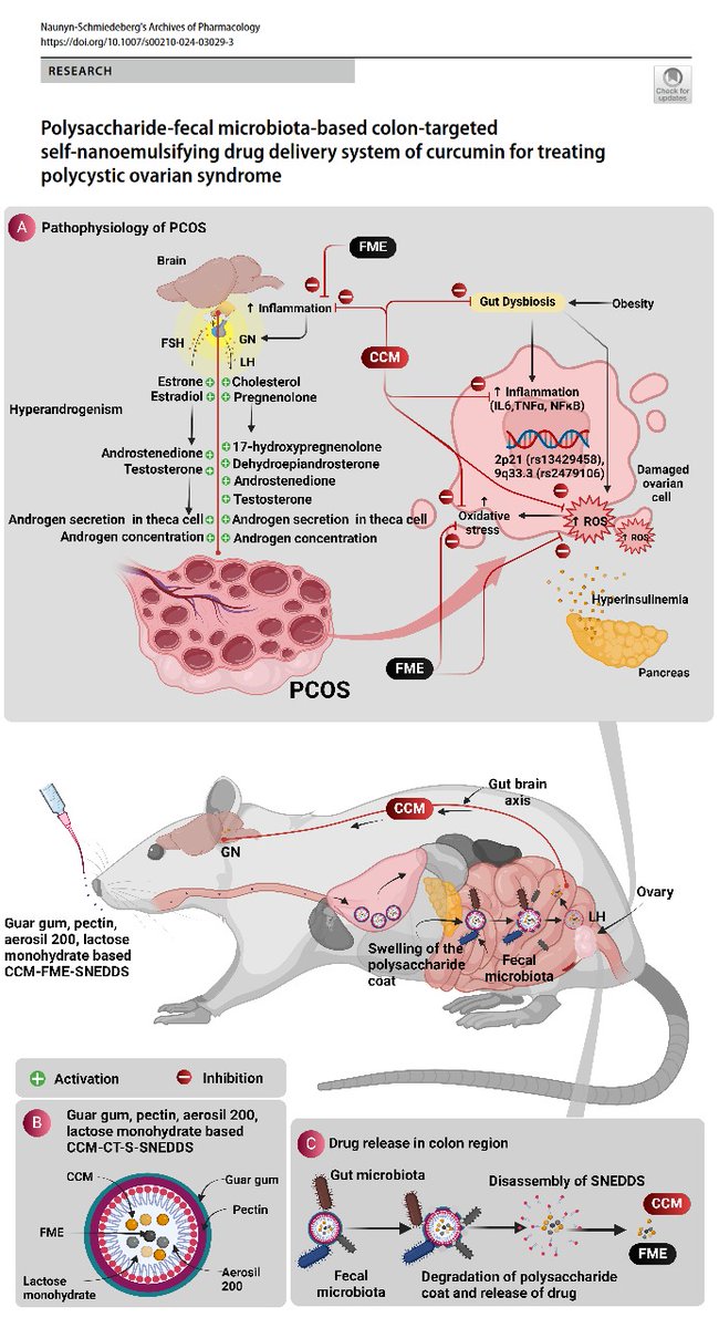 Sachin Kumar Singh (@sachink00306908) on Twitter photo Polysaccharide-fecal microbiota-based colon-targeted curcumin SNEDDS for PCOS; link.springer.com/article/10.100… <a href="/Leander_Corrie/">Leander Corrie</a> <a href="/sukriti_vishwas/">翔(20)</a> <a href="/Dinesh_Kumar78/">Dinesh Kumar Chellappan, PhD</a> <a href="/gauravpharma25/">Gaurav Gupta</a> @prasher_sharma <a href="/DrKeshavRajPau1/">Keshav Raj Paudel</a> <a href="/Kam_Dua/">Kamal Dua</a> <a href="/Rajaraman/">Rajaraman</a> D Eri <a href="/UTSARCCIM/">ARCCIM</a> <a href="/lpuuniversity/">Lovely Professional University - LPU</a> <a href="/RMIT/">RMIT University</a> Polysaccharide-fecal microbiota-based colon-targeted curcumin SNEDDS for PCOS; link.springer.com/article/10.100… <a href="/Leander_Corrie/">Leander Corrie</a> <a href="/sukriti_vishwas/">翔(20)</a> <a href="/Dinesh_Kumar78/">Dinesh Kumar Chellappan, PhD</a> <a href="/gauravpharma25/">Gaurav Gupta</a> @prasher_sharma <a href="/DrKeshavRajPau1/">Keshav Raj Paudel</a> <a href="/Kam_Dua/">Kamal Dua</a> <a href="/Rajaraman/">Rajaraman</a> D Eri <a href="/UTSARCCIM/">ARCCIM</a> <a href="/lpuuniversity/">Lovely Professional University - LPU</a> <a href="/RMIT/">RMIT University</a>