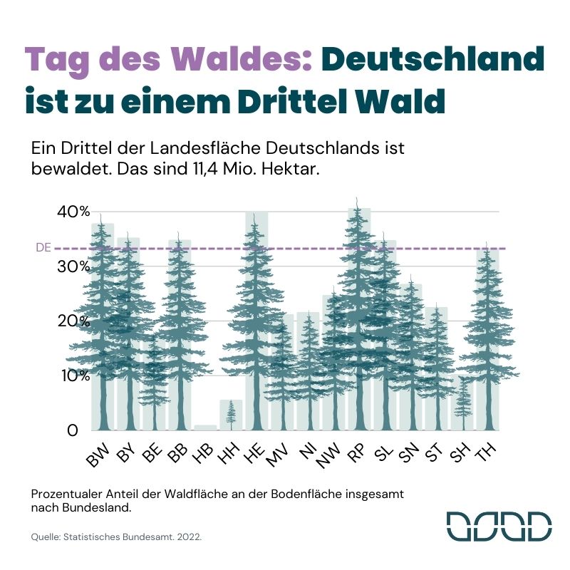 Am Internationalen #TagdesWaldes machen die <a href="/UNFCCC/">UN Climate Change</a>  auf das  wichtige #Ökosystem und den Rekord-Kohlendioxidspeicher aufmerksam. Ein Drittel der Landesfläche in 🇩🇪 ist bewaldet. Das sind 11,4 Mio. Hektar.
👉ndr.de/nachrichten/me…