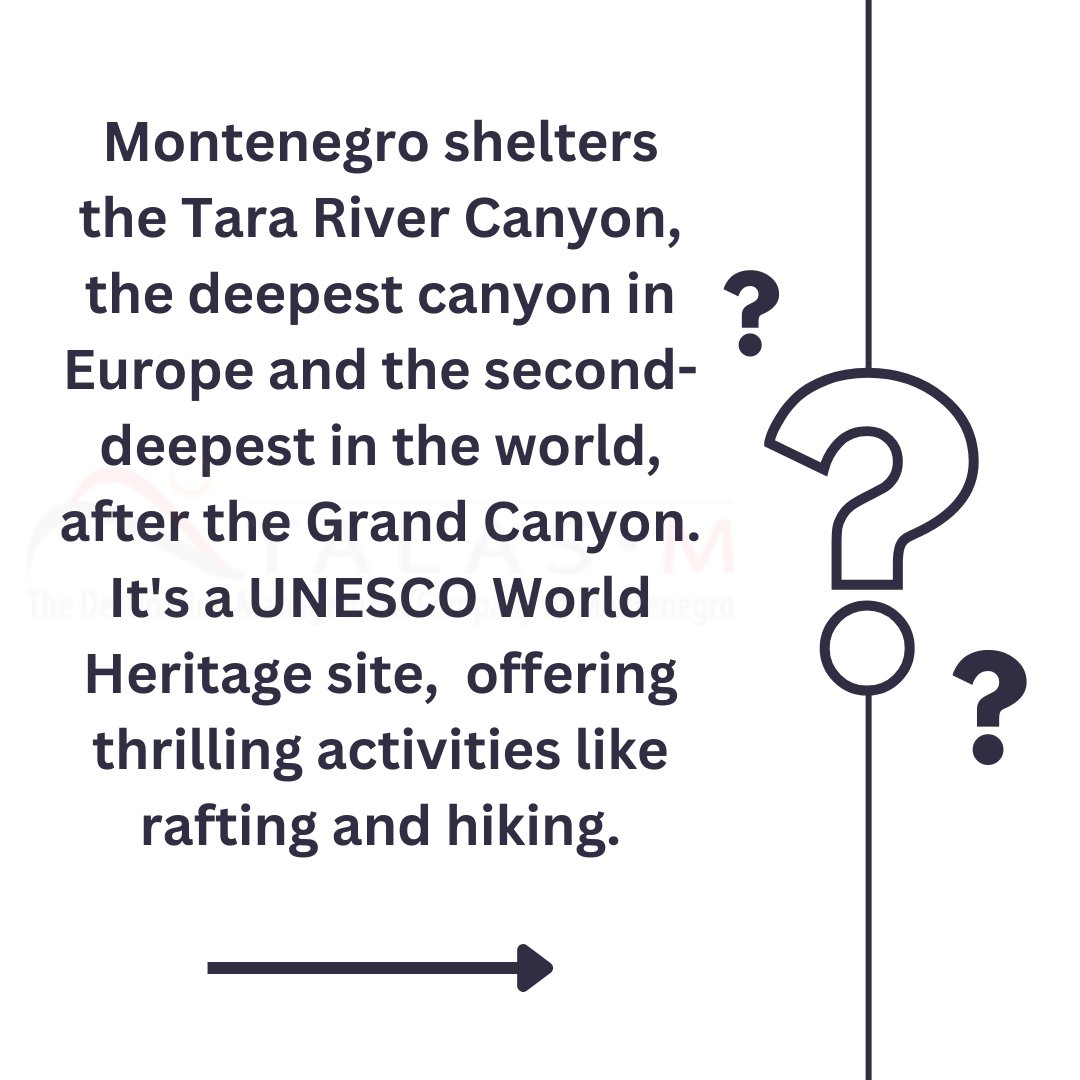 destinations Unlimited tweet media