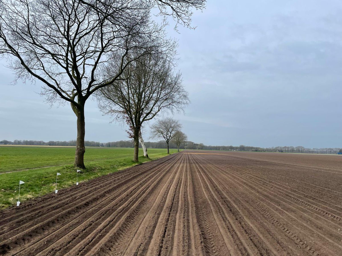 Jaap Jonker (@jaap_jonker9) on Twitter photo De eerste valgroepen zijn geplaatst voor bonenvliegmonitoring en uienvlieg beheersing #SIT <a href="/DeGroeneVlieg/">De Groene Vlieg</a> #biologischebestrijding #uien #kwaliteit #aanmeldenkannog <a href="/AkkerTweet/">Akkerwijzer.nl</a> <a href="/nieuweoogstnl/">Nieuwe Oogst</a> #GLB #ecoregeling De eerste valgroepen zijn geplaatst voor bonenvliegmonitoring en uienvlieg beheersing #SIT <a href="/DeGroeneVlieg/">De Groene Vlieg</a> #biologischebestrijding #uien #kwaliteit #aanmeldenkannog <a href="/AkkerTweet/">Akkerwijzer.nl</a> <a href="/nieuweoogstnl/">Nieuwe Oogst</a> #GLB #ecoregeling