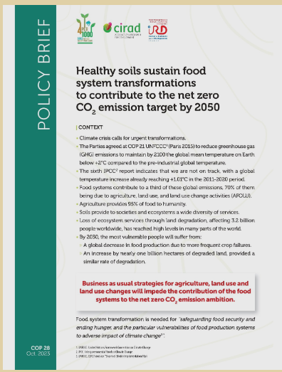 Healthy #soils sustain food system transformations to contribute to the net zero CO2 emission target by 2⃣0⃣5⃣0⃣ This policy brief @4per1000, @Cirad, and @ird_fr illustrates how land use will impede the contribution of the #foodsystems to net zero CO2. tinyurl.com/5n82xcmf