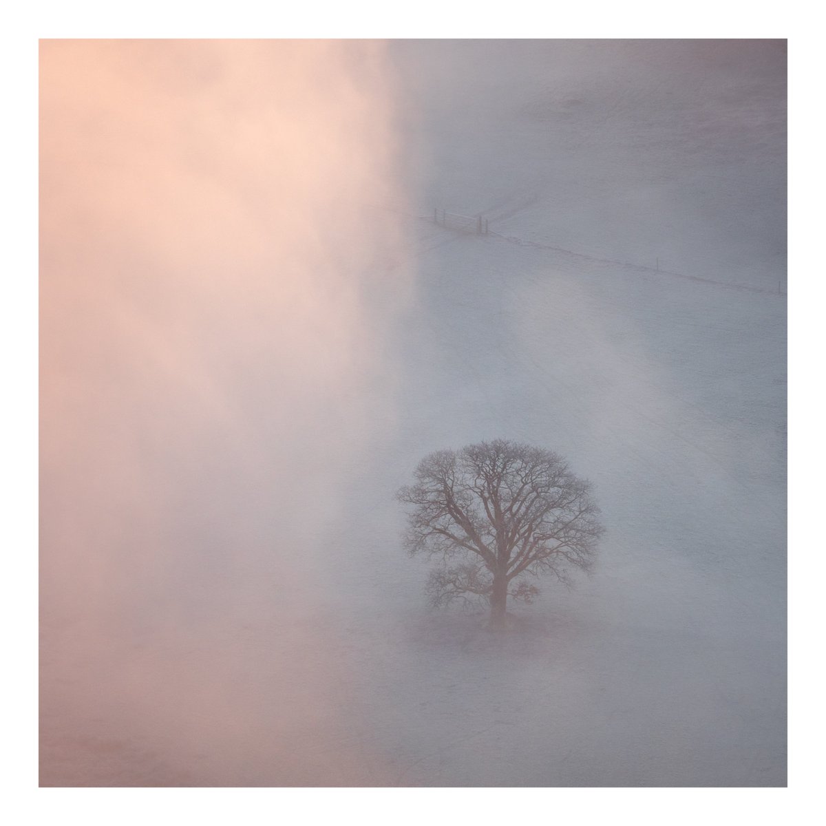 I'd forgotten about my lovely morning back in January, watching an inversion in the South Lakes. A poor little tree about to take a fog bath 😁

#landscapephotography #LakeDistrict