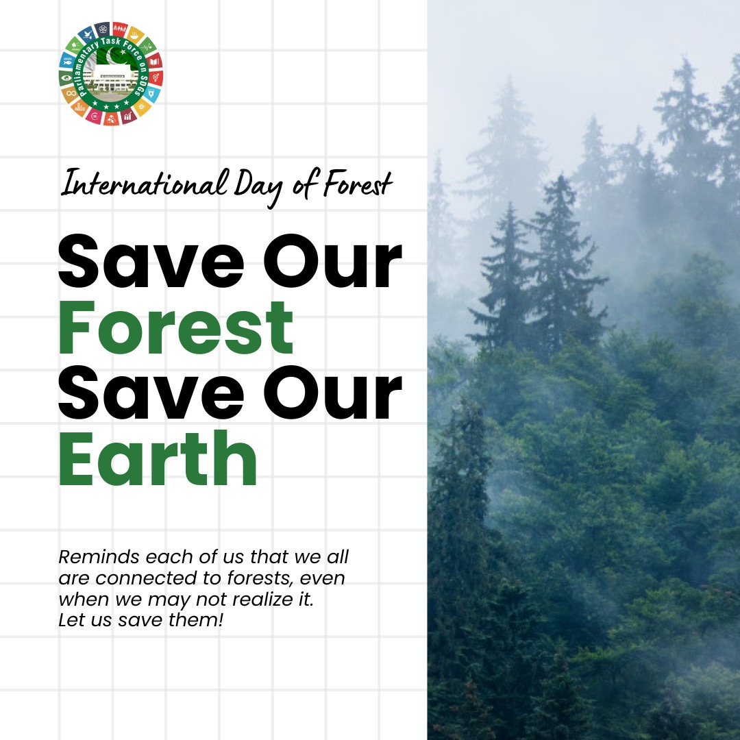 This year's theme for International Day of Forests is Forests and Innovation: New Solutions for a Better World. The battle against deforestation requires new technological advancements. #ForestDay #ProtecttheClimate #LifeonLand @NAofPakistan