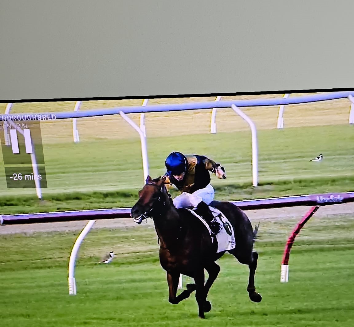 Thrilled to watch Edited By secure a victory at Newcastle today, marking a consecutive win for this son of Written By.

Outstanding training performance by <a href="/MFreedmanRacing/">Michael Freedman Racing</a> . 

Congrats to <a href="/GandharviRacing/">Gándharví</a> and all co-owners in the colts partnership.

#EditedBy