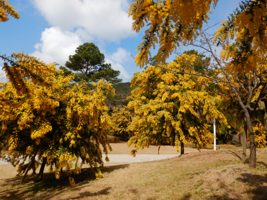 awajikaikyopark tweet picture