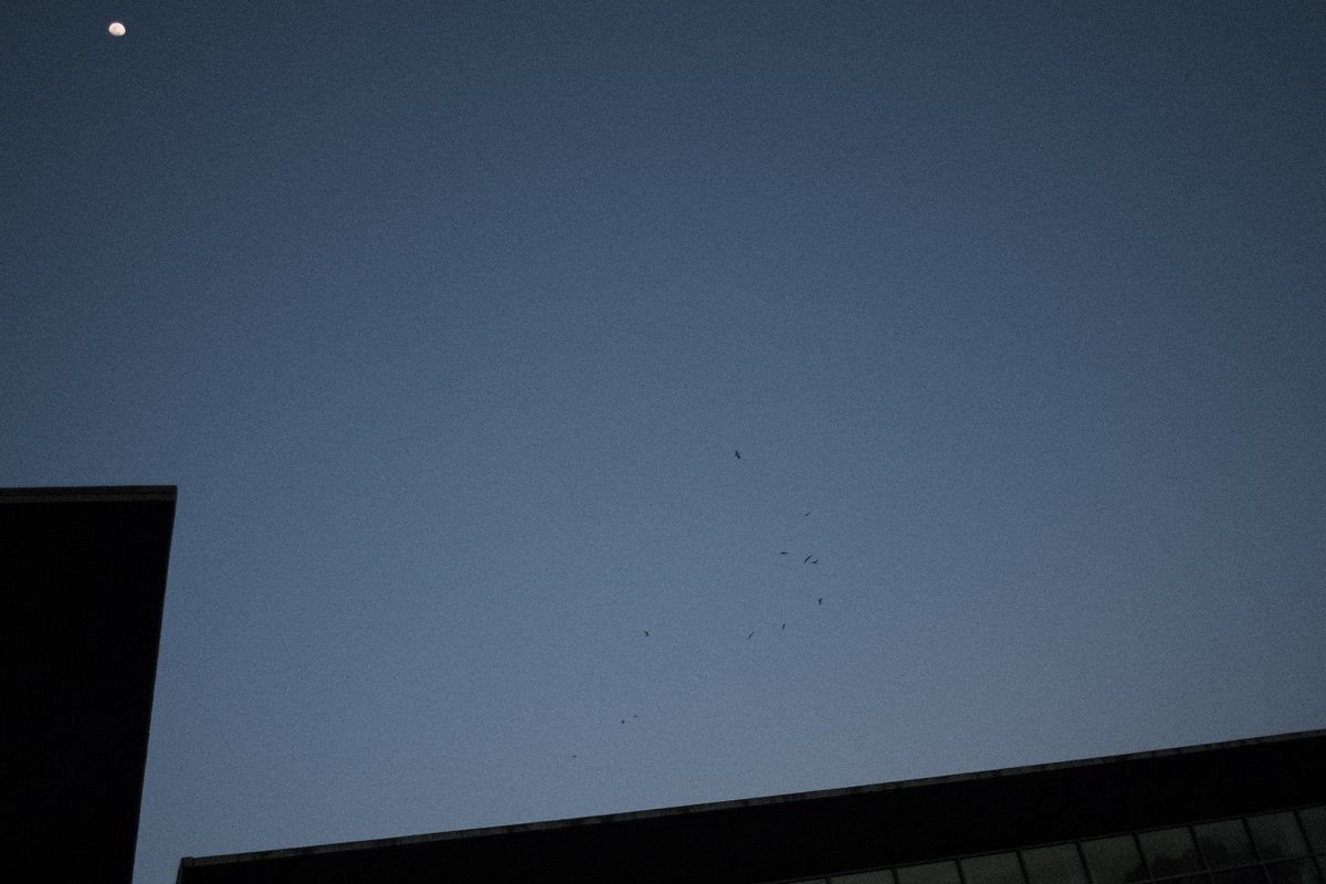 Title: Squeeze it all in 
3/21/24 Wednesday
#xpro3 #fd28mmf28