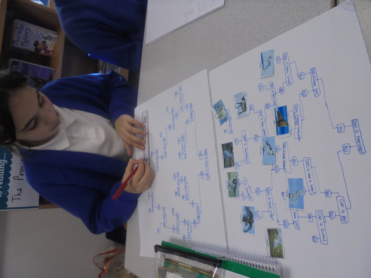 Year 6 have been using physical characteristics of Arctic animals to create a classification key. #WeExceed