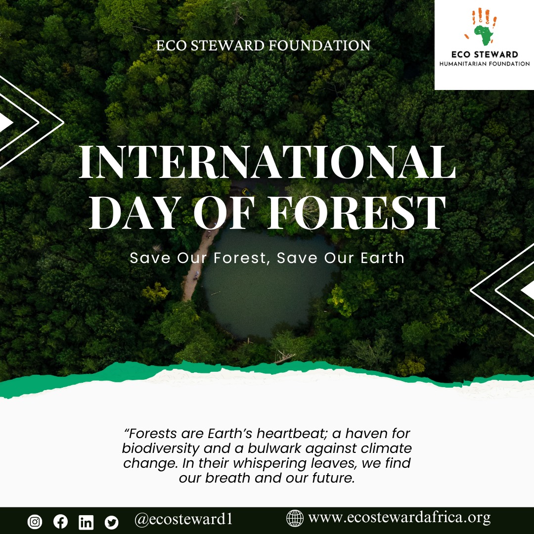 Today, as we celebrate #InternationalDayOfForest, let’s remember that forests are not just trees, but the heartbeat of our planet, the foundation of our climate resilience. Let’s cherish and protect them for generations to come.

#ForestConservation #ClimateAction