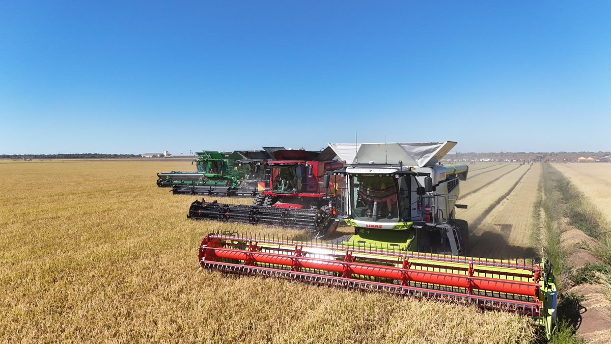 Justin James 🇦🇺 tweet media