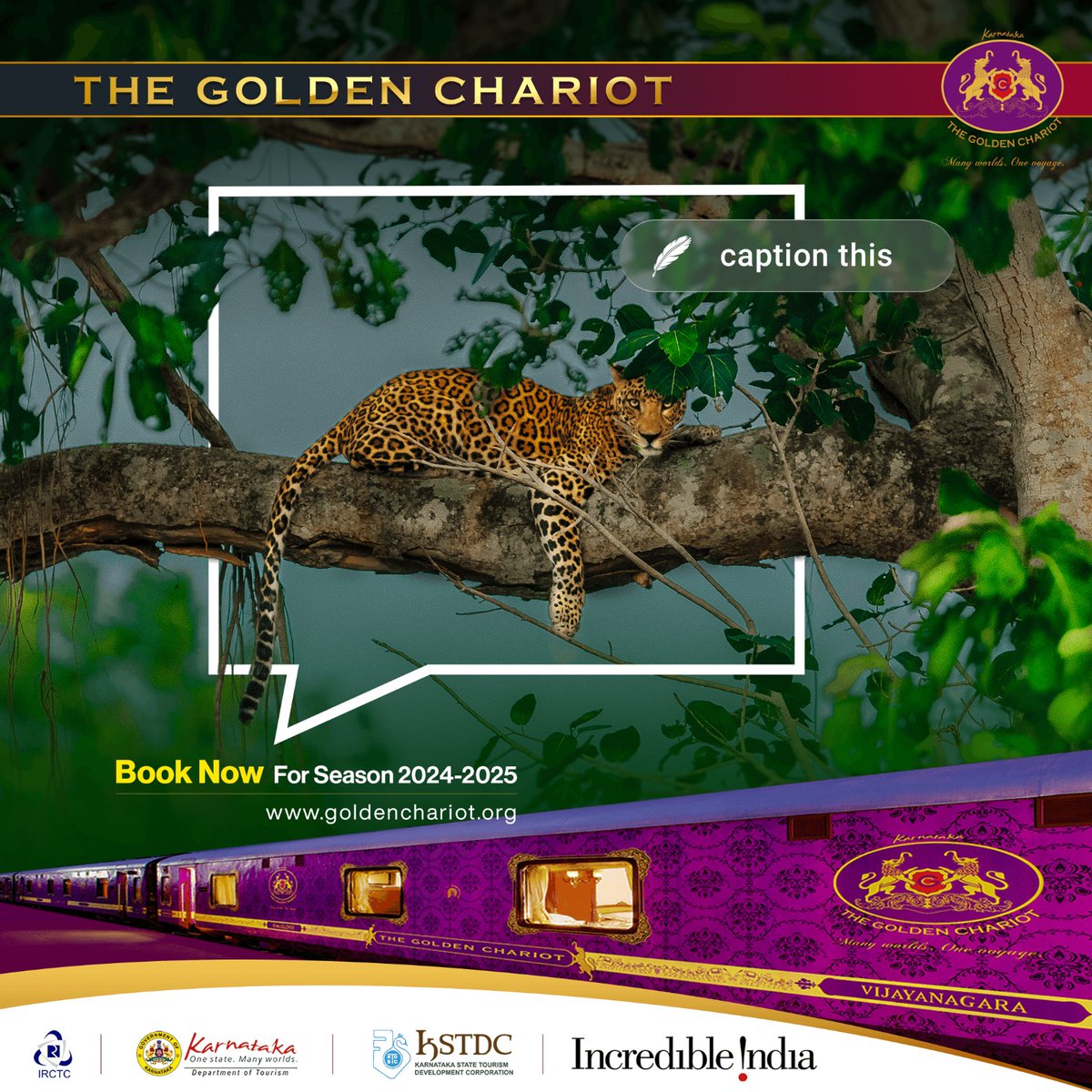 What do you think of Bandipur National Park? #CaptionThis image and tell us in the comments.

Book a journey on goldenchariot.org

#InternationalDayofForests #TravelExperiences #travelindia #luxurytravel #SouthIndia  #IncredibleIndia #travel