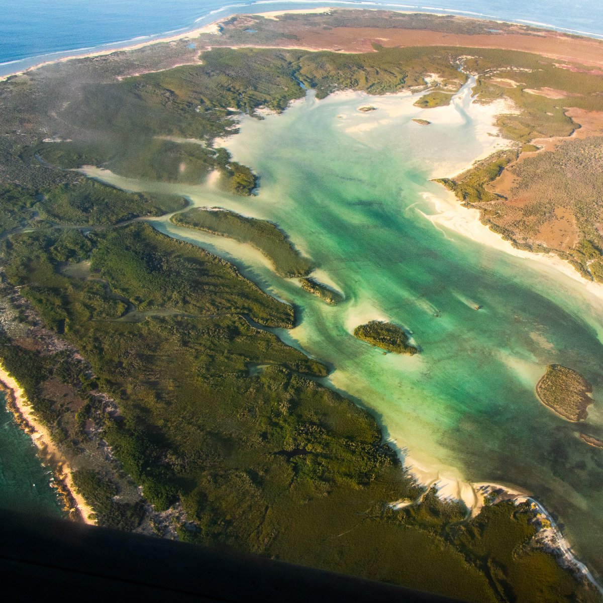 #JournéeMondialeDelEau #WorldWaterDay | Élément cruciale pour la vie sur Terre, c’est la journée mondiale de l’eau ! Focus sur des écosystèmes capables de réguler le cycle de l’eau, de fournir de l’eau douce tout en atténuant le dérèglement climatique : les zones humides !