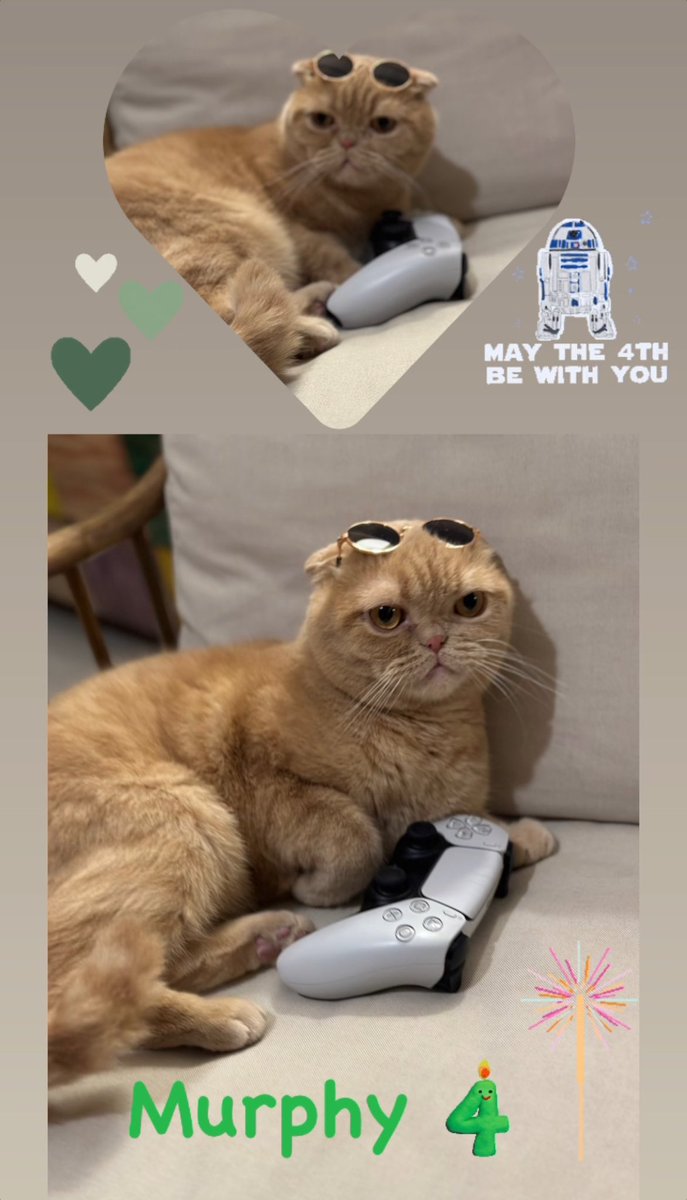 HHHHandEEEE's tweet photo. 💚 20.03.2020 💚
🐱🎂4️⃣ https://t.co/RYRTonSpDW