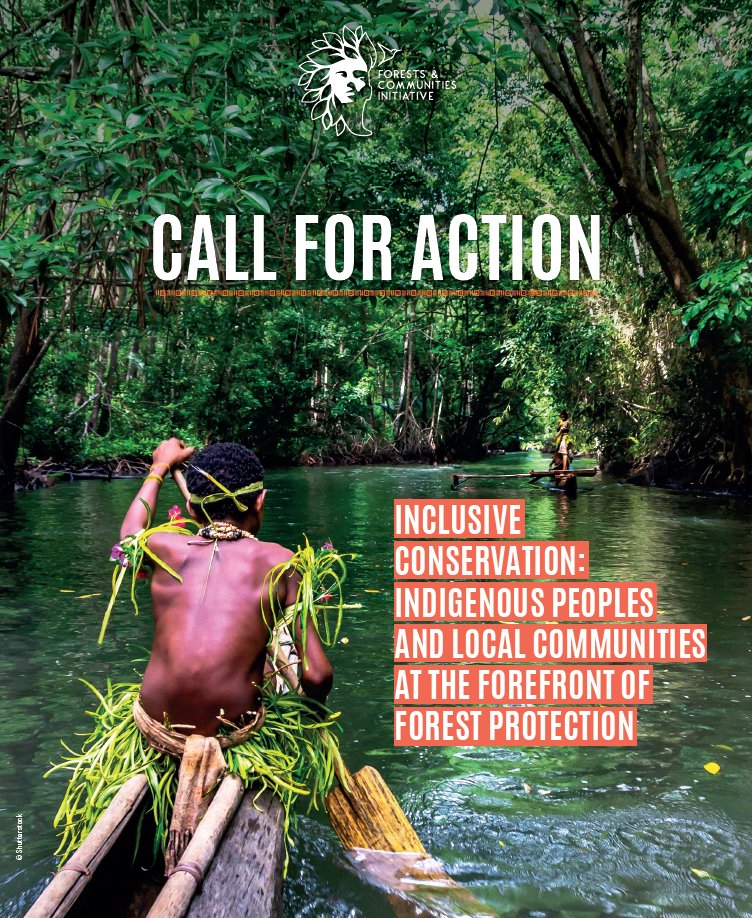 #ForestDay 🌳🦎🌴 the Forests & Communities Initiative calls for action! FCI urges stronger forest protections, local community involvement & investments in Indigenous-led conservation. Read more and join the movement forestsandcommunitiesinitiative.org/en/call-for-ac…