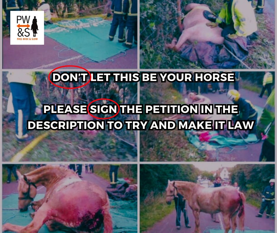 ❗️Please sign ❗️ change.org/p/katie-s-law-…