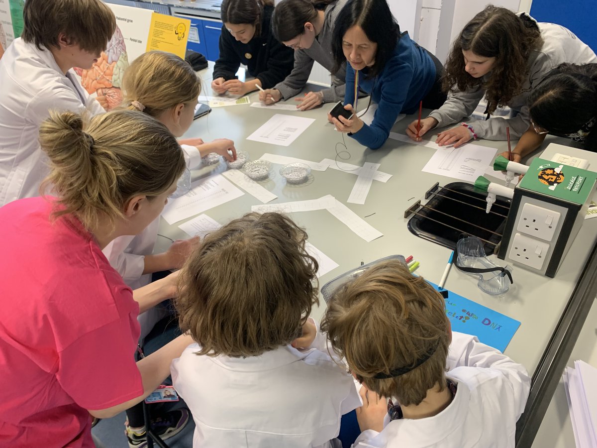 Family Day @Cambridge_Fest is coming up! Check out our exciting activities on ‘Harnessing the immune system to fight disease’ and join us for a fun day! 🗓️ Saturday 23 March ⏰ 10am – 4pm 📍Department of Pathology, Tennis Court Road bit.ly/49xPgQI