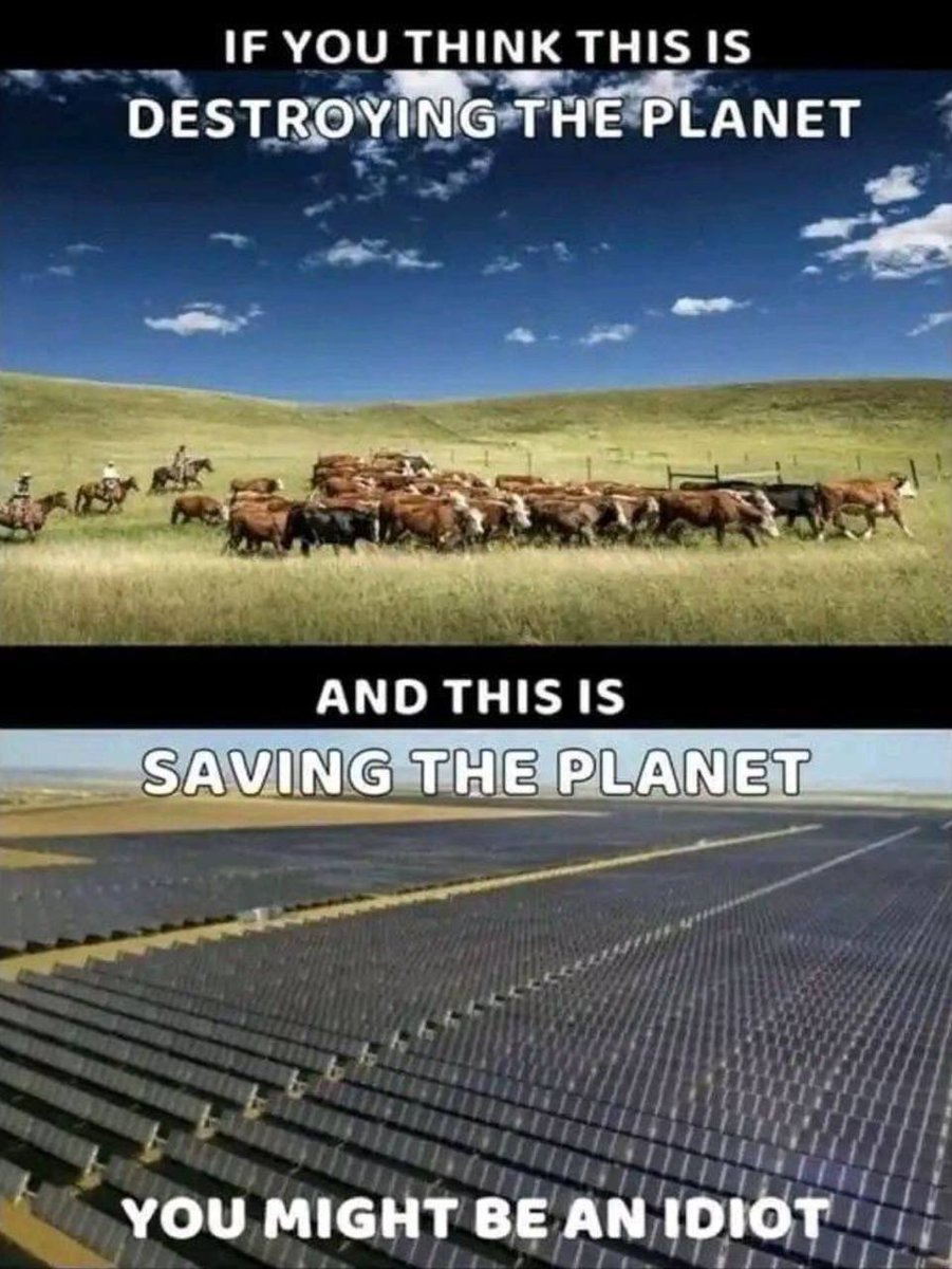 No, you definitely are.

#ClimateScam