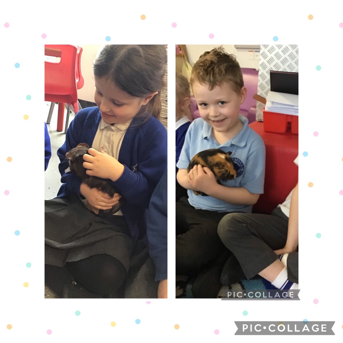 HilderthorpeSch's tweet photo. EYFS enjoyed an exciting visit from @PetsatHome home yesterday! Thank you @PetsatHome 🐭🪳🪱🐀 #hildeyfs #pets #hildsci https://t.co/YMyjnwU17G